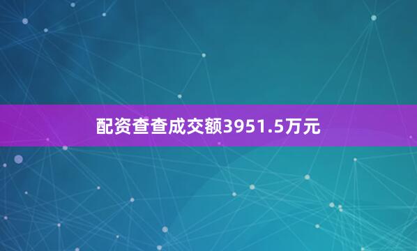 配资查查成交额3951.5万元