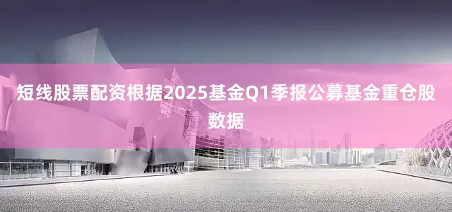 短线股票配资根据2025基金Q1季报公募基金重仓股数据