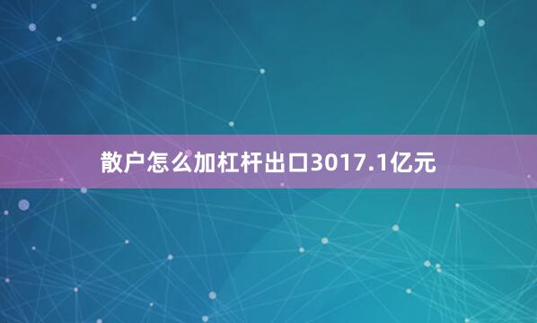 散户怎么加杠杆出口3017.1亿元
